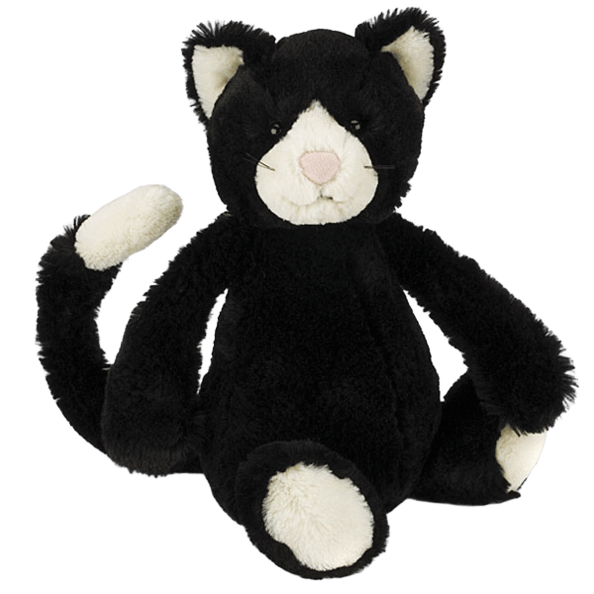 Bashful Black & White Kitten