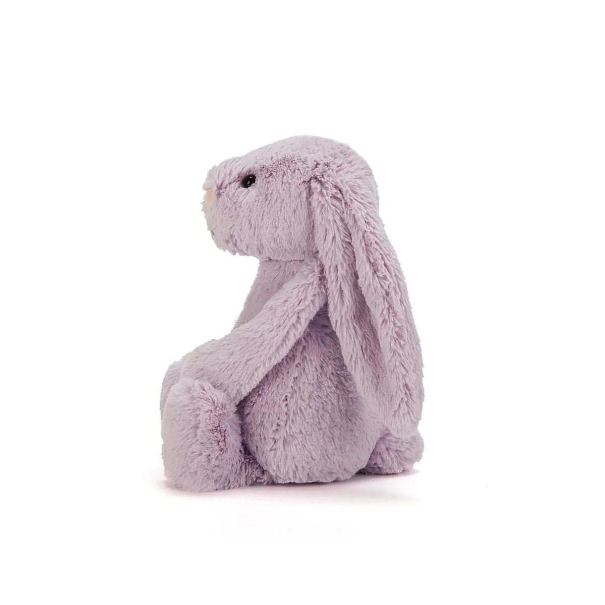 Bashful Hyacinth Bunny
