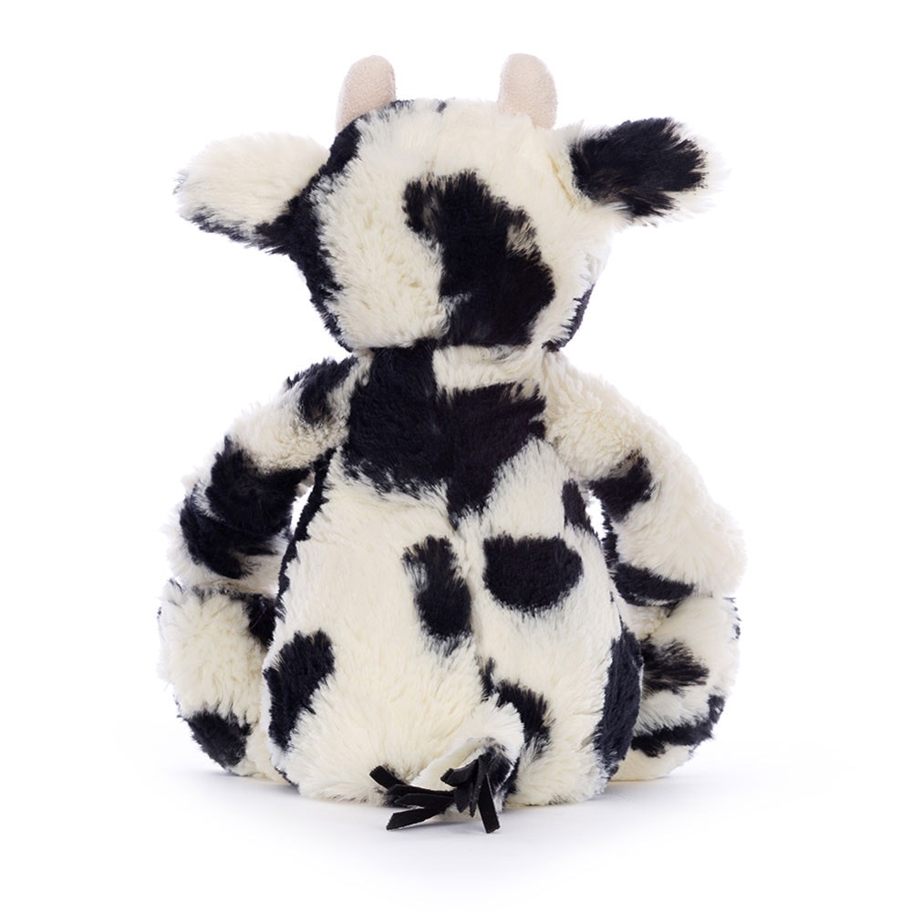 Bashful Calf