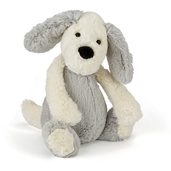 Bashful Chaucer Dog