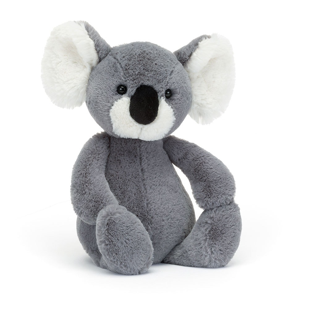 Bashful Koala 2022