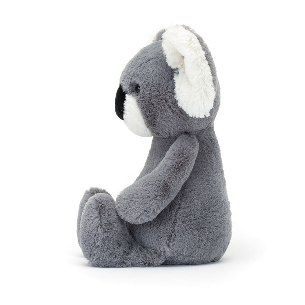 Bashful Koala 2022