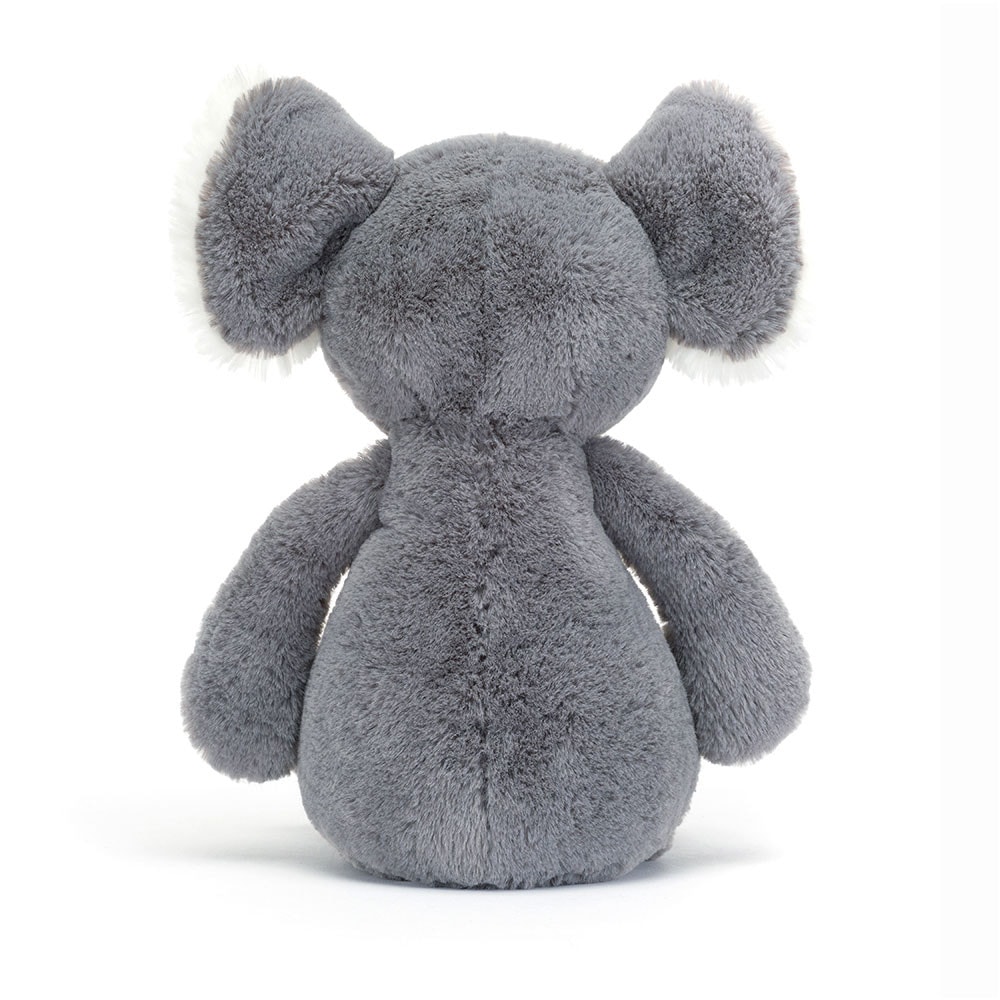 Bashful Koala 2022