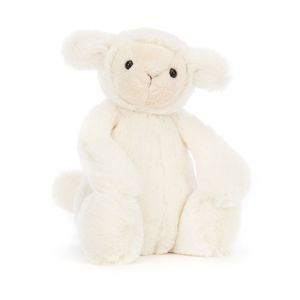 Bashful Lamb