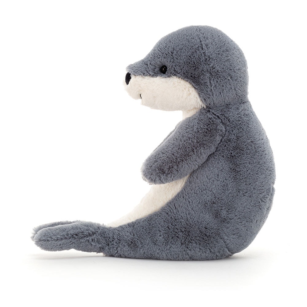 Bashful Seal