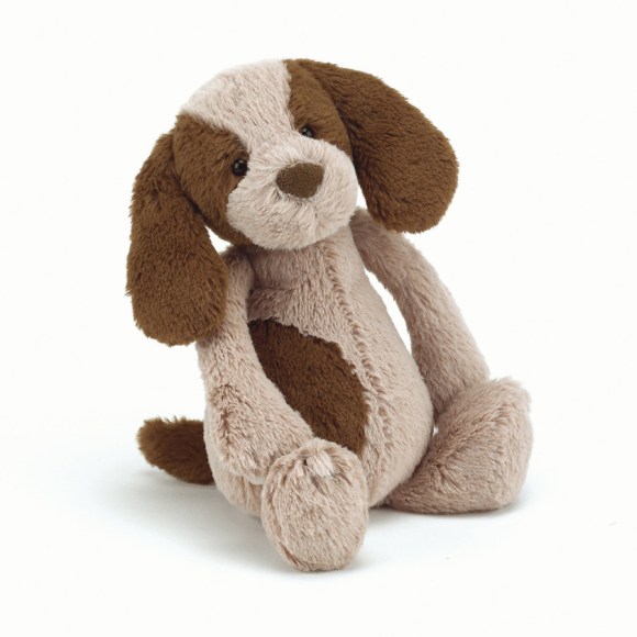 Bashful Spaniel