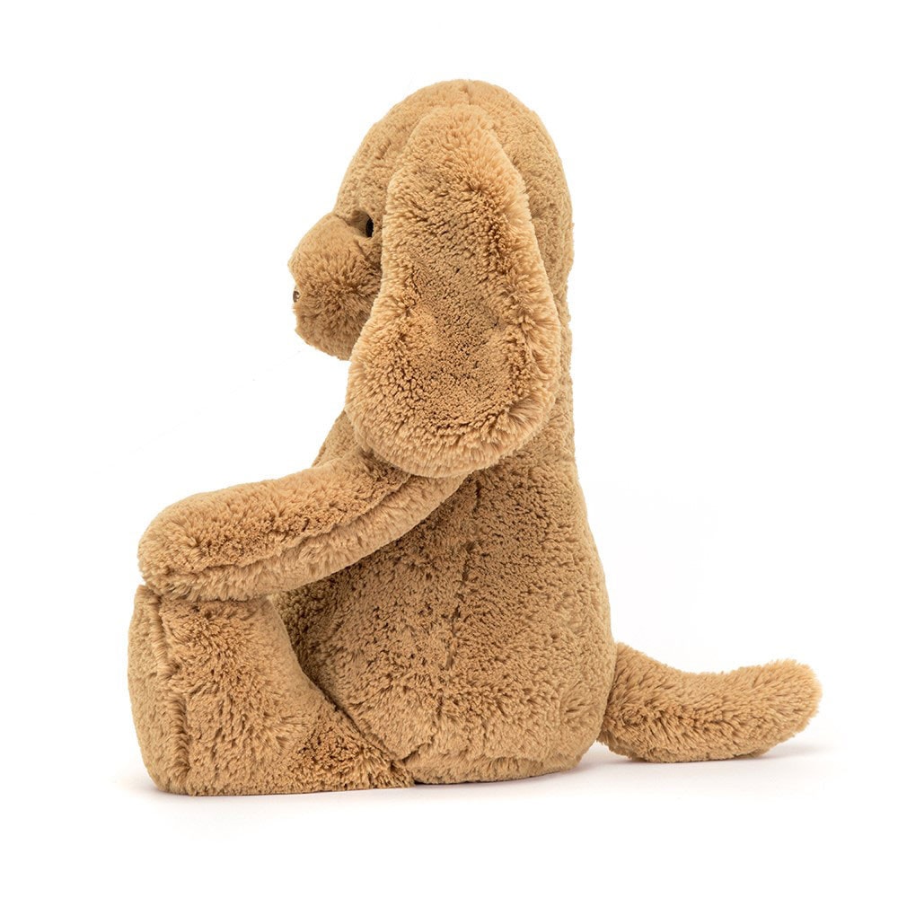 Bashful Toffee Puppy