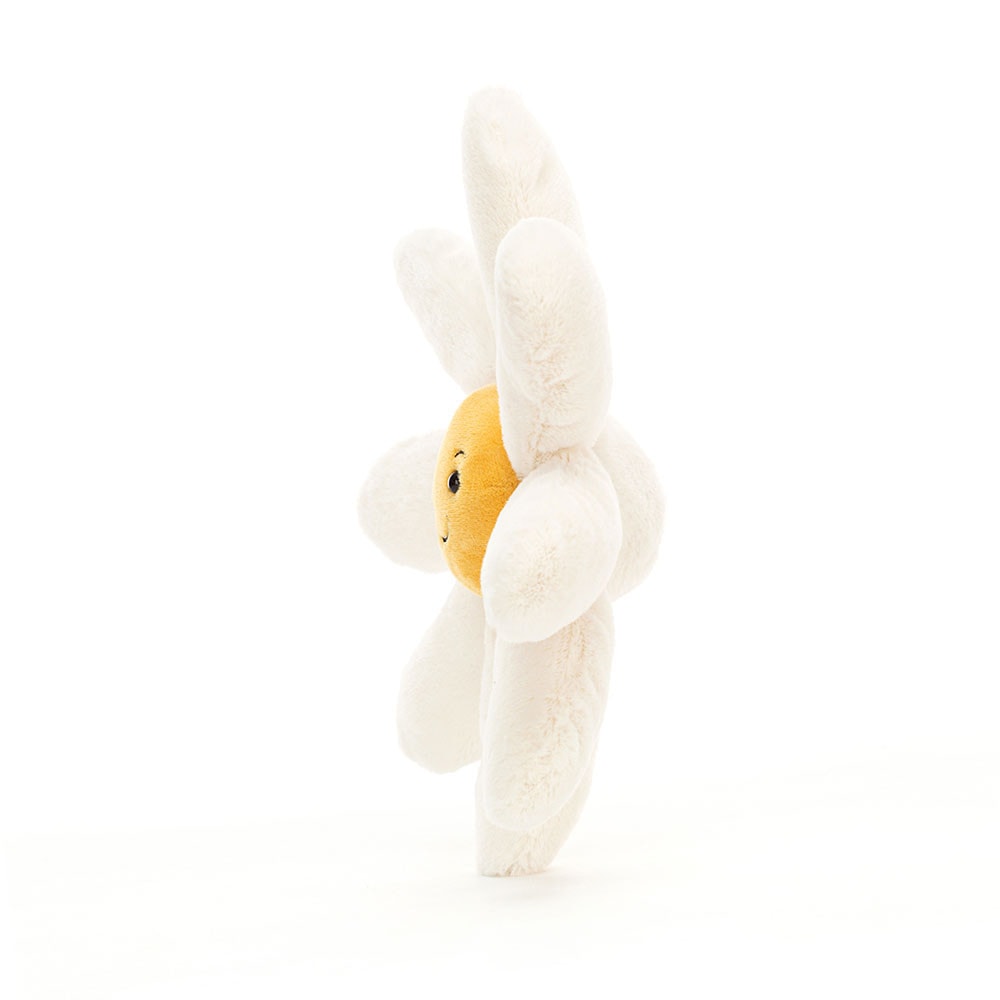 Fleury Daisy