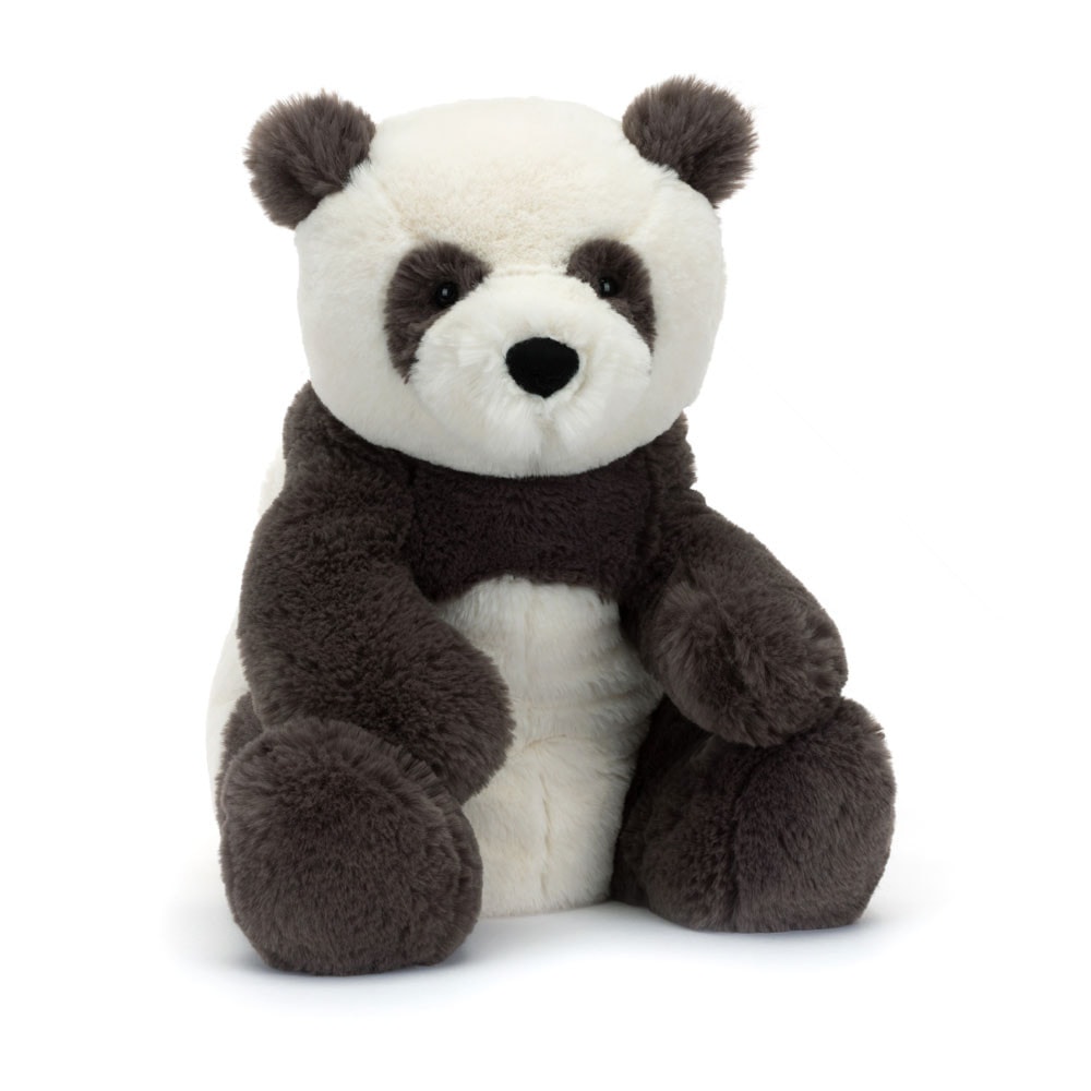 Harry Panda Cub