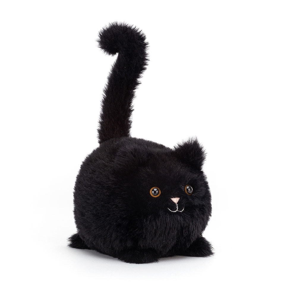 Kitten Caboodle - Black