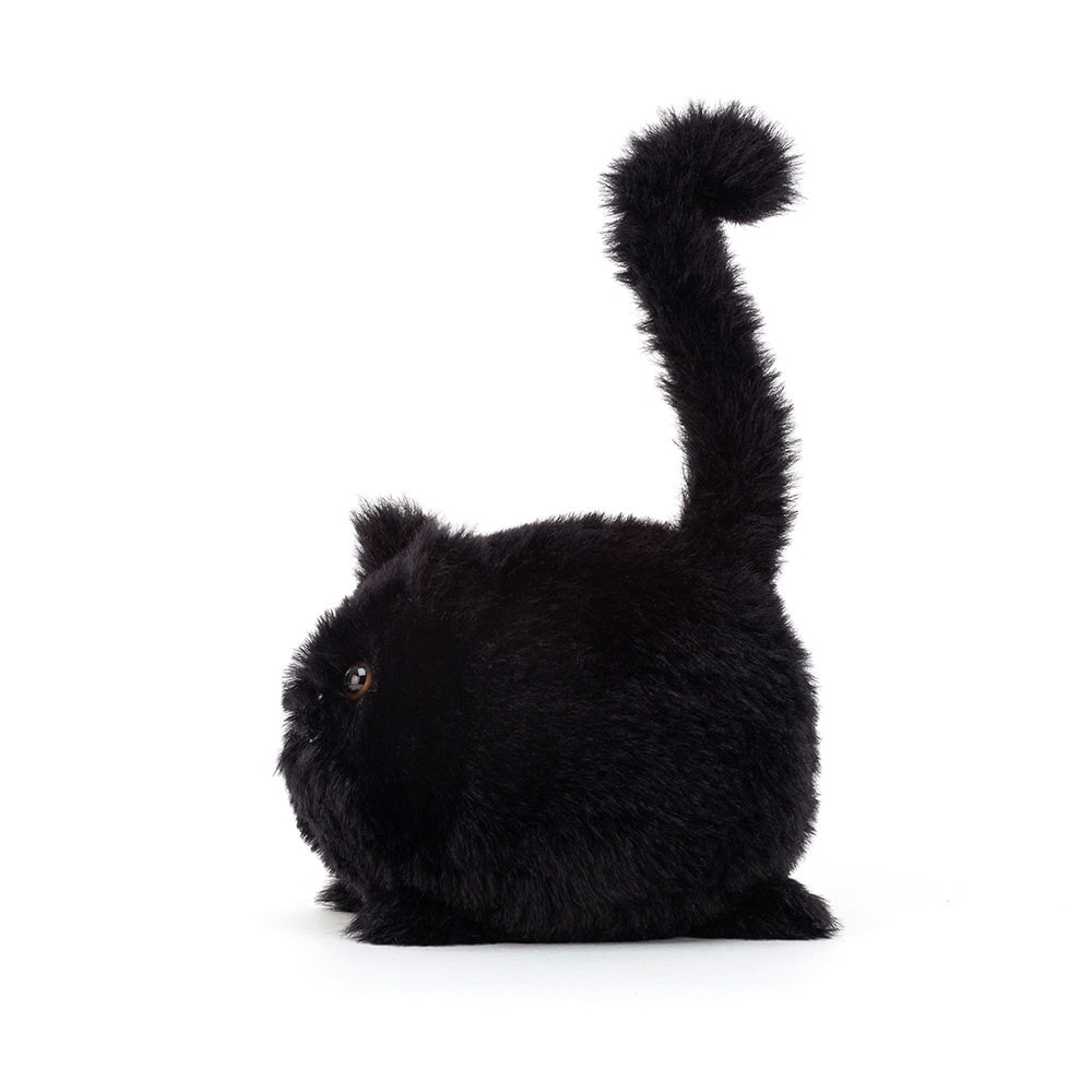 Kitten Caboodle - Black