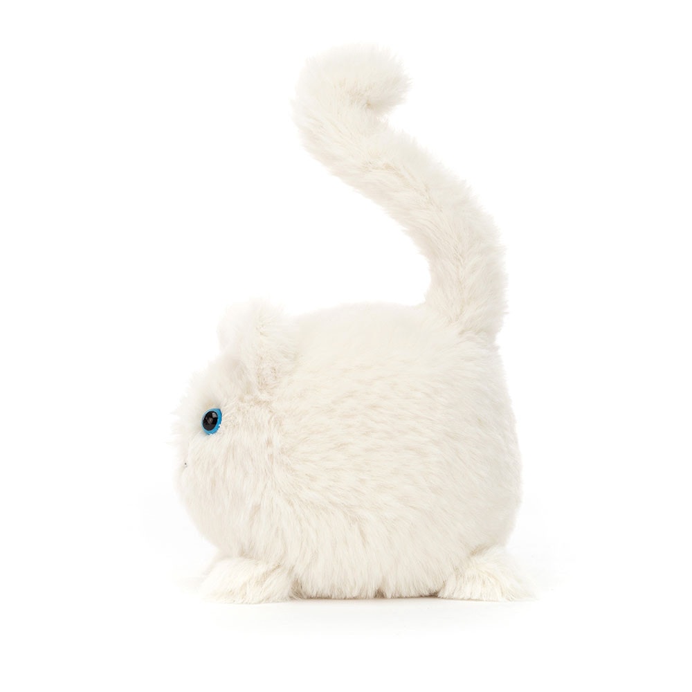 Kitten Caboodle - Cream