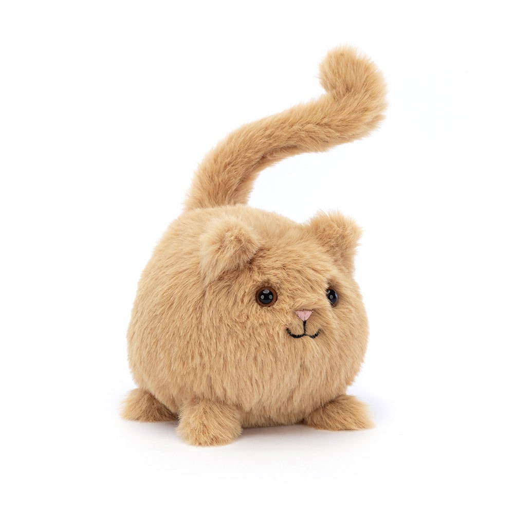 Kitten Caboodle - Ginger