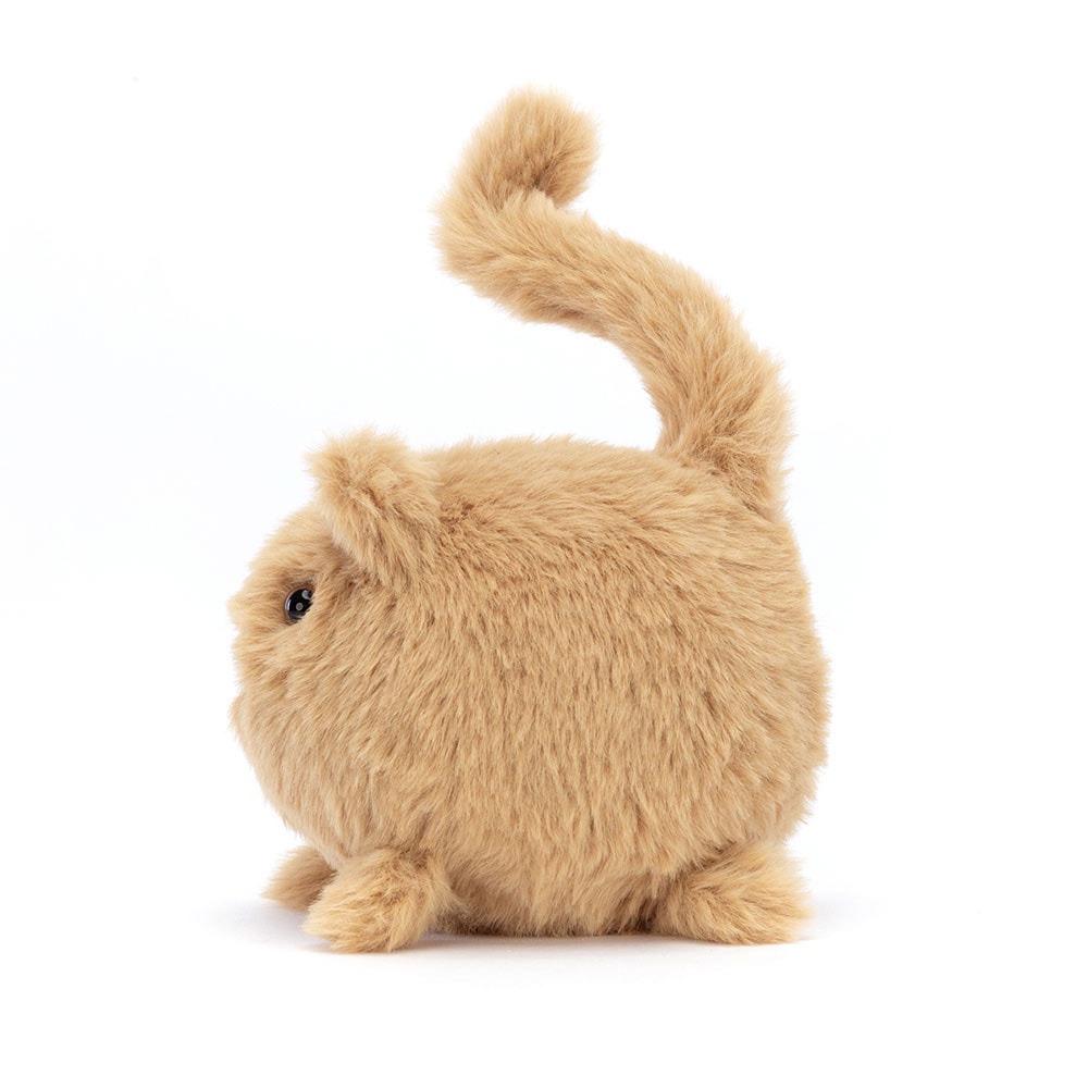 Kitten Caboodle - Ginger