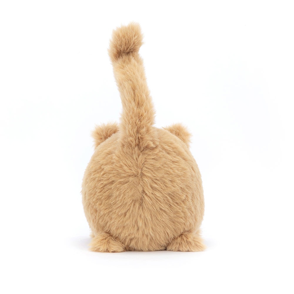 Kitten Caboodle - Ginger