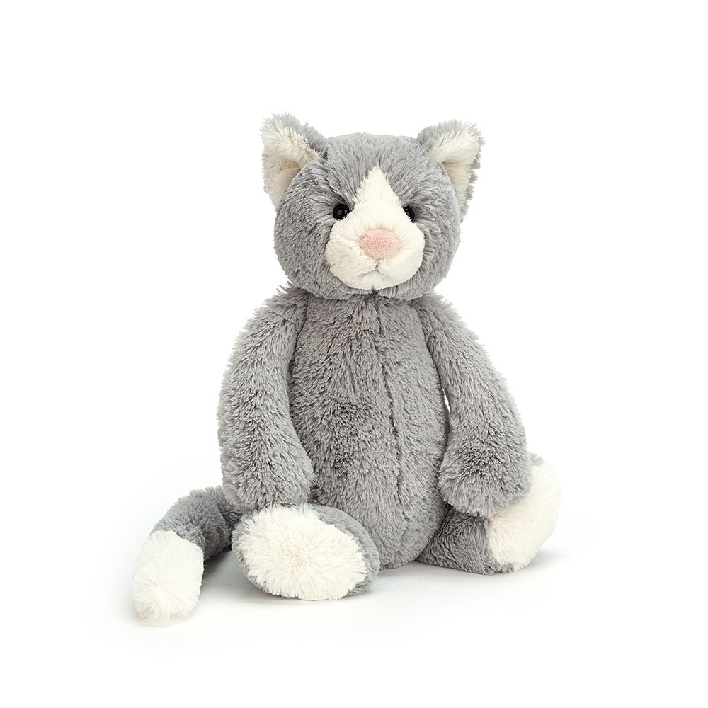 Bashful Cat