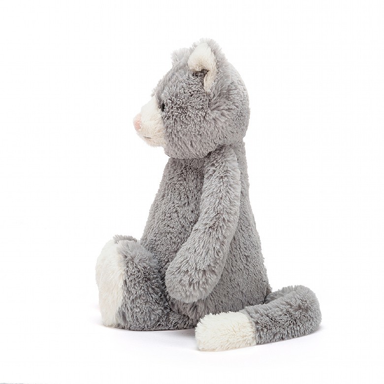 Bashful Cat
