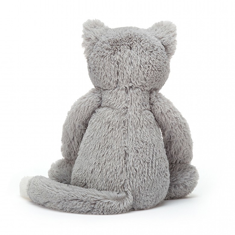 Bashful Cat