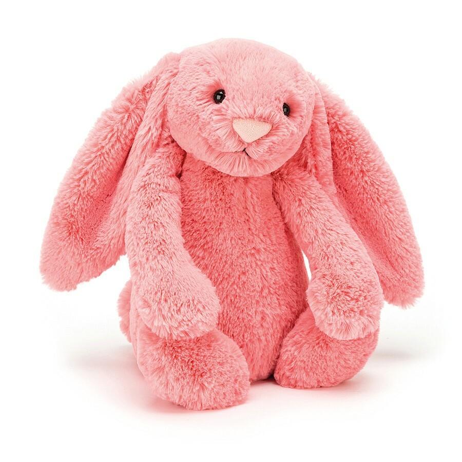 Bashful Coral Bunny