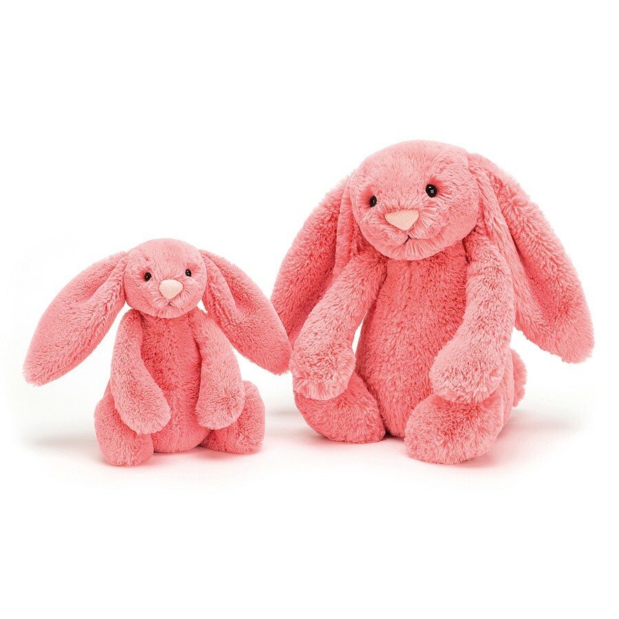 Bashful Coral Bunny