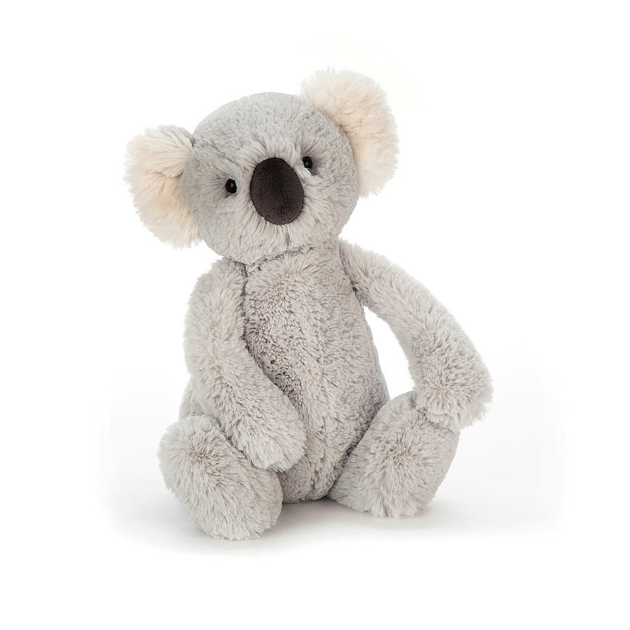 Bashful Koala 