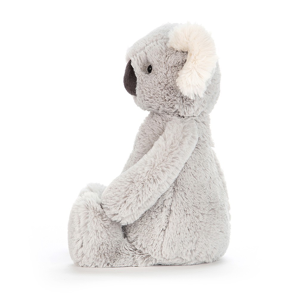 Bashful Koala 
