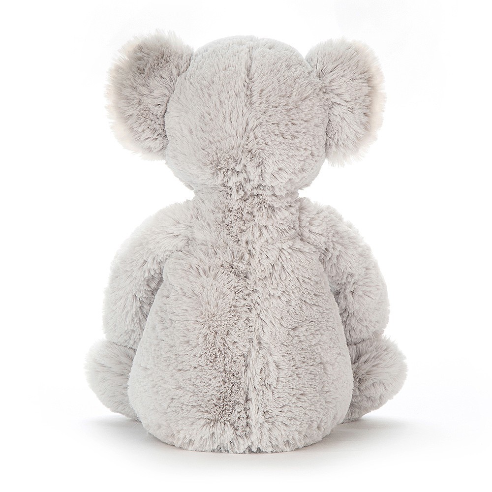 Bashful Koala 