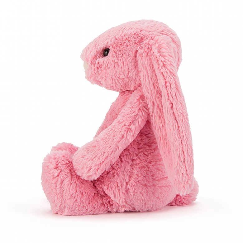 Bashful Sorbet Bunny