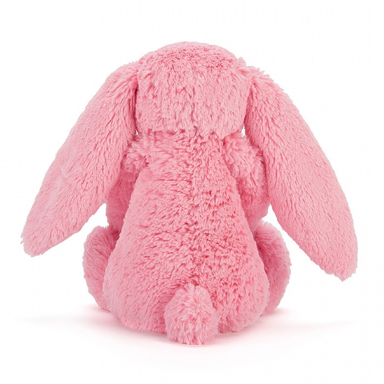 Bashful Sorbet Bunny