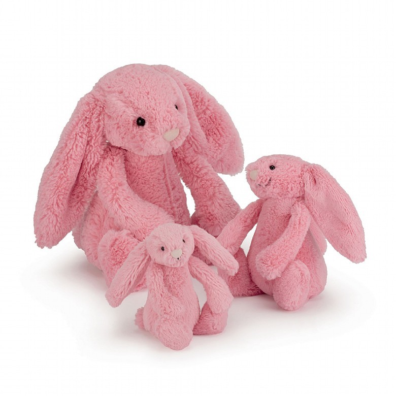 Bashful Sorbet Bunny