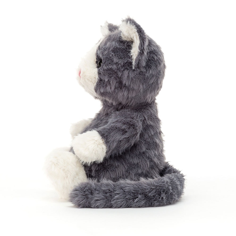 Mitten Kitten Storm