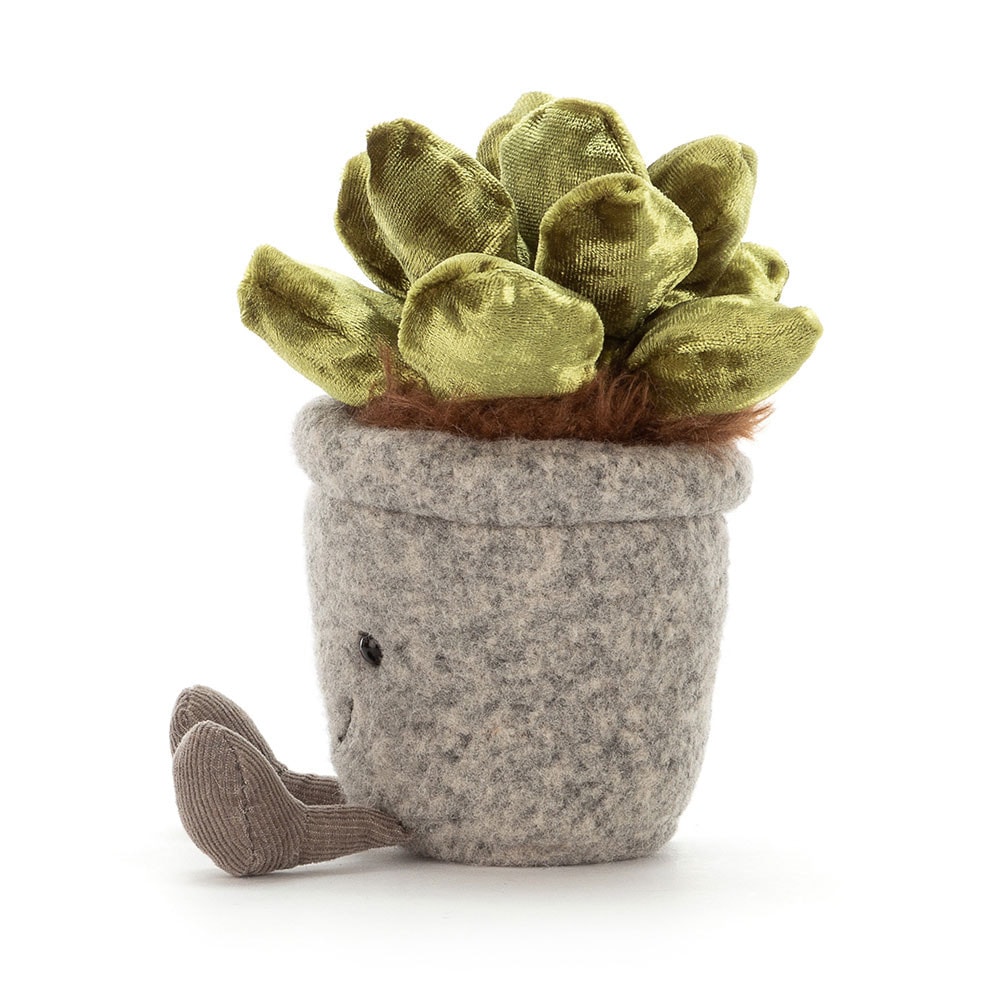 Silly Succulent Jade