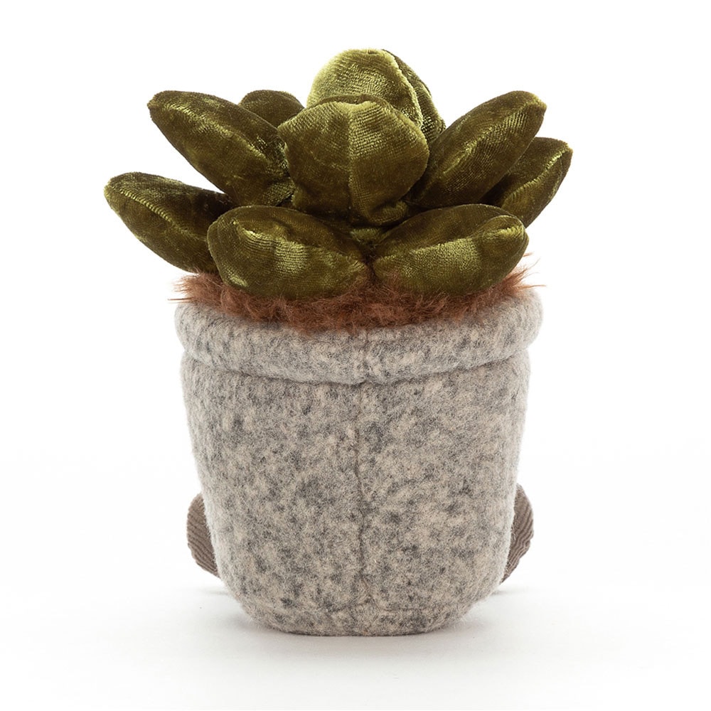 Silly Succulent Jade