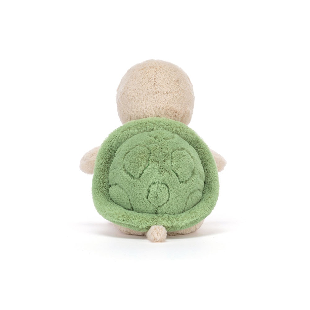 Thimble Turtle