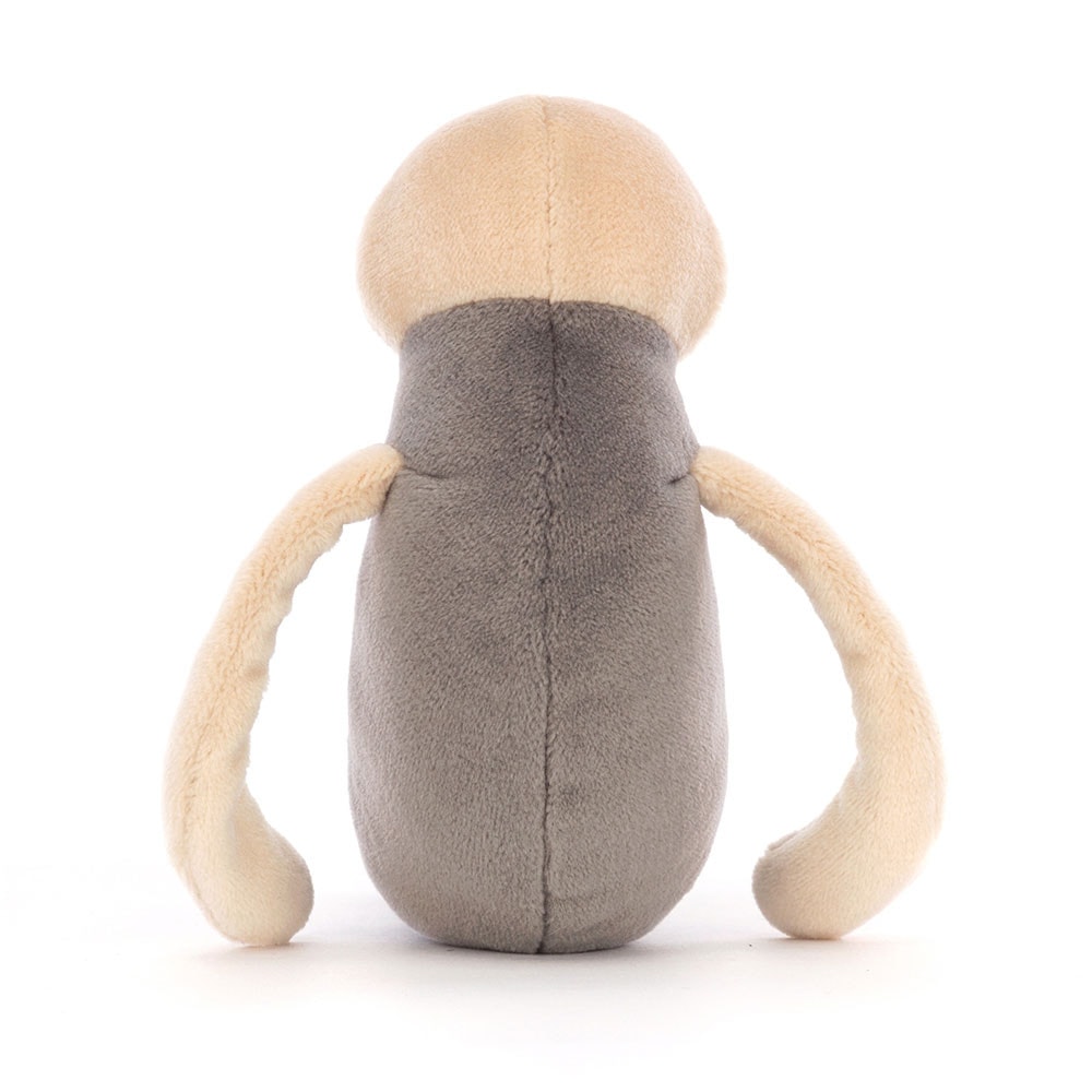 Wally Water Boatman