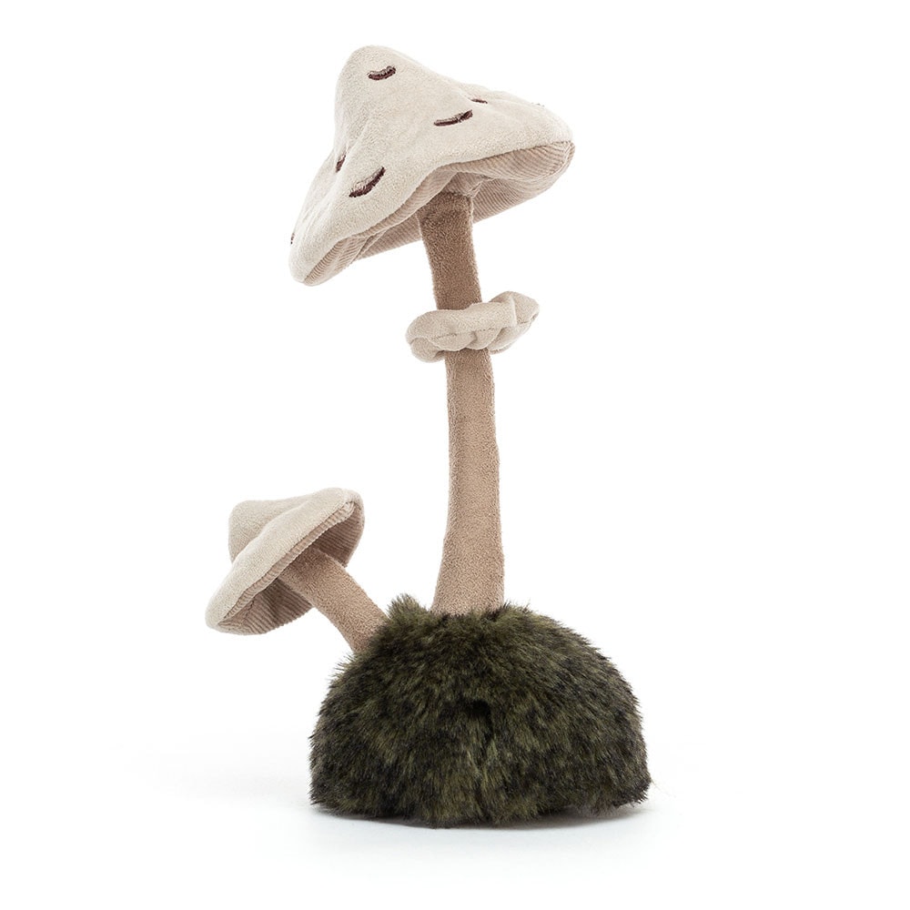Wild Nature Parasol Mushroom