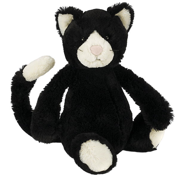 Bashful Black & White Kitten